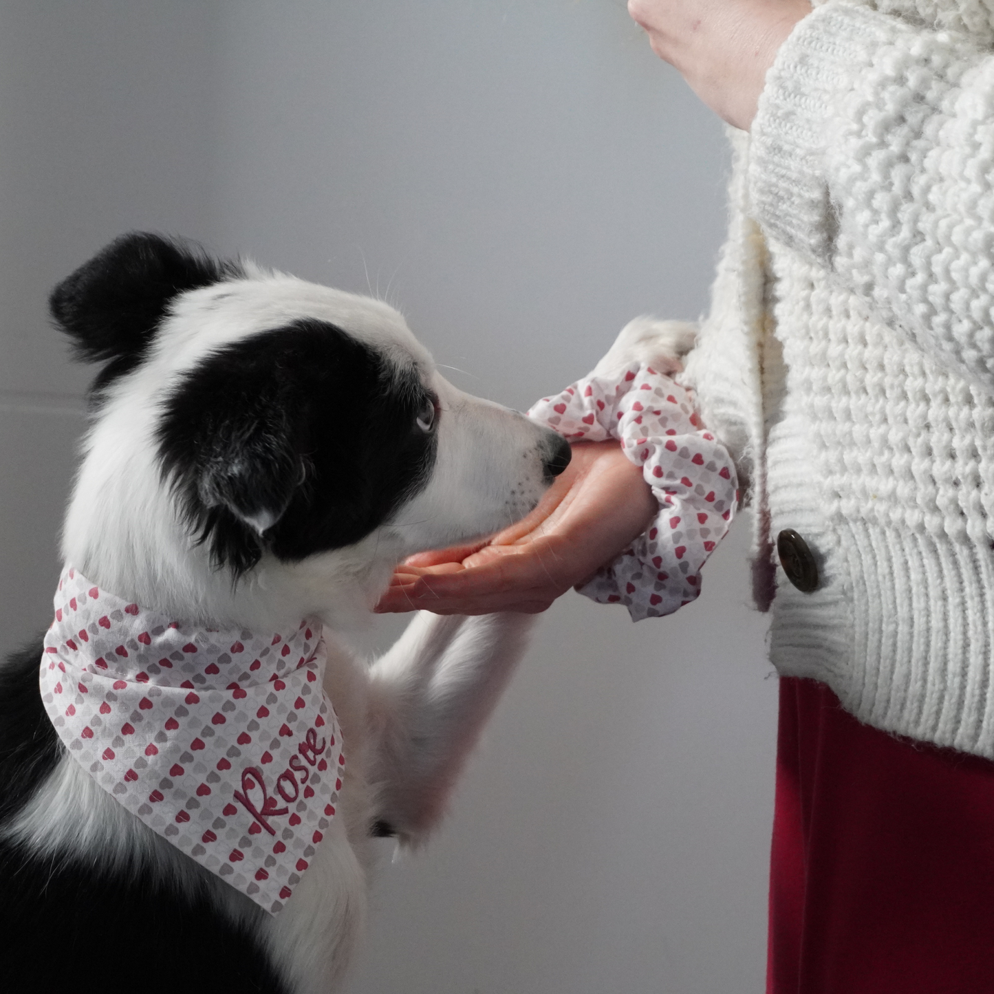 Personalised heart print dog bandana photographed on a border collie pup and owner with the matching scrunchie. 